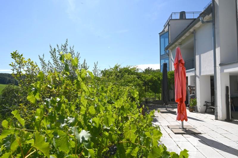 Südterrasse UG - WOHNEN & INVESTIEREN AM NATURPARK SCHÖNBUCH-3-FAMILIENHAUS MIT ANBAU 1-FAMILIENHAUS