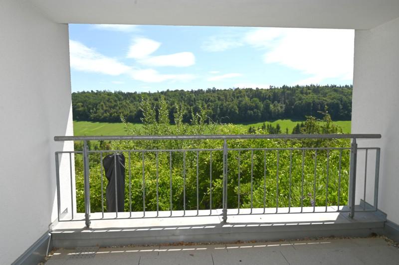 Balkonblick EG Schaichtal - WOHNEN & INVESTIEREN AM NATURPARK SCHÖNBUCH-3-FAMILIENHAUS MIT ANBAU 1-FAMILIENHAUS