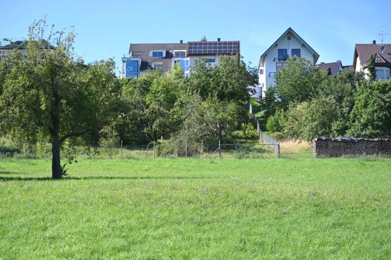 Anwesen Südseite - WOHNEN & INVESTIEREN AM NATURPARK SCHÖNBUCH-3-FAMILIENHAUS MIT ANBAU 1-FAMILIENHAUS